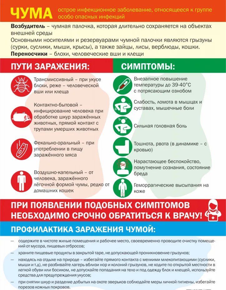 Чума - профилактика заболевания.
